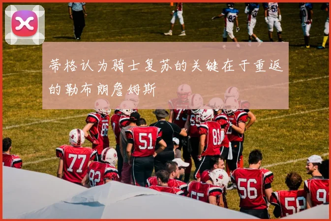 蒂格认为骑士复苏的关键在于重返的勒布朗詹姆斯