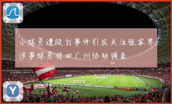 小球员遭殴打事件引发关注张家界涉事球员将回广州协助调查