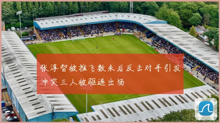 张淳智被推飞数米后反击对手引发冲突三人被驱逐出场