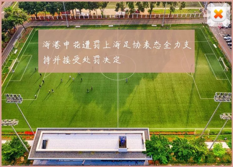 海港申花遭罚上海足协表态全力支持并接受处罚决定
